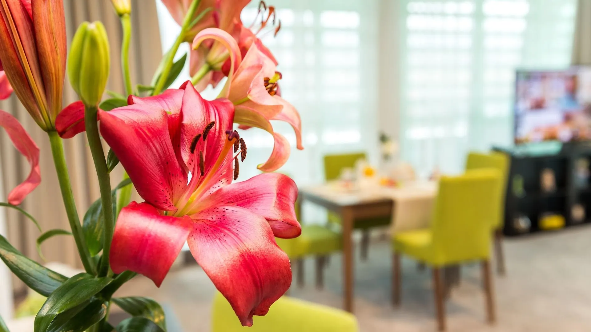 Earth & People Hotel & Spa - Free Parking Sofia 4*,  Bulgarien